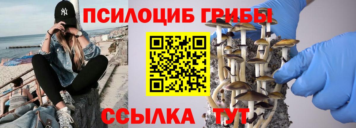 цены   Вход с VPN  Минеральные Воды  Галлюциногенные грибы мухоморы  Псилоцибиновые грибы прущие грибы 